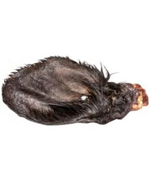 Ucho hovězí, sušené se srstí