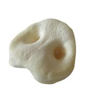 Vepřový rypáček bílý