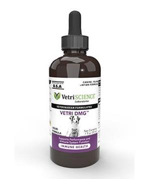VetriScience Vetri DMG Liquid