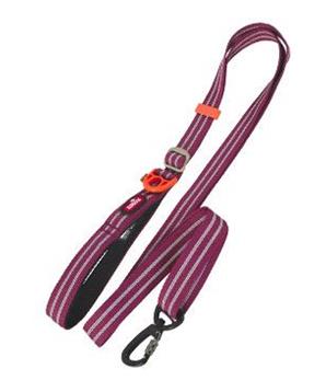 Vodítko pes BIVOUAK nastavitelné 25mm/1,15-2m červ Zol