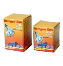 Lucky Reptile Halogen Sun 100W