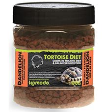 Komodo Tort. Diet - suchoz. želva, pampeliška 