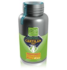 Cartilan CBD+ Altervet