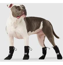 Botičky sada Canada Pooch 2 černé