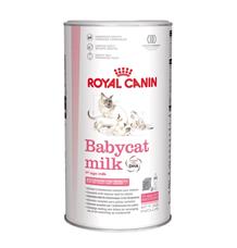 ROYAL CANIN Babycat Milk