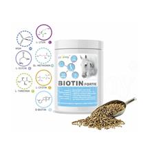 Dromy Biotin FORTE