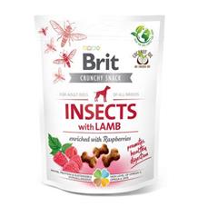 Brit Care Dog Crunchy Crack. Insec. Lamb Raspber