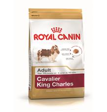 ROYAL CANIN Cavalier King Charles Adult