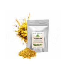 Dromy Kurkuma mletá 