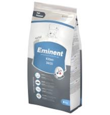 Eminent Kitten