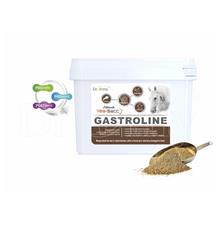 Dromy Gastroline
