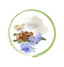Inulin Dromy