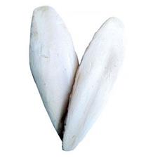 Kost sépiová 10cm 
