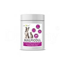 Dromy Malpicoll