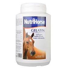 Nutri Horse Gelatin (Gel)