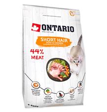 ONTARIO Cat Shorthair