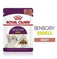 Royal Canin Sensory Smell gravy