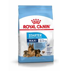 ROYAL CANIN Maxi Starter Mother&Babydog