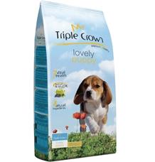 TRIPLE CROWN LOVELY PUPPY DOG