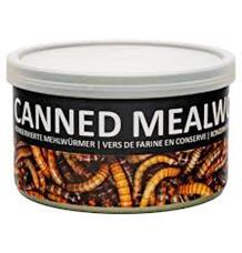 UGF sušený moučný červ konzerva 