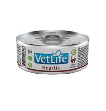 Vet Life Natural Cat konz. Hepatic