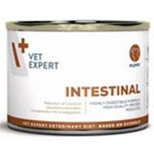 VetExpert VD 4T Intestinal Dog Puppy konzerva